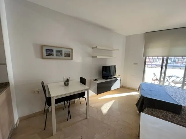 Alquiler de estudio en juan carlos i, amueblado, junto hacienda — 8