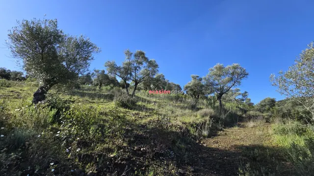 CHALET EN VENTA EN EL PUERTO CALATRAVEÑO — 22