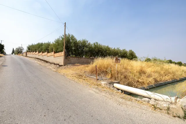 Encanto rústico con casita y olivos en Moraleja de Zafayona — 47