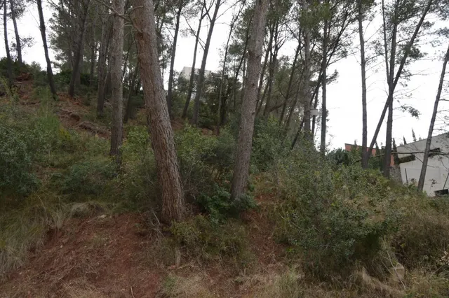 PARCELA EN VENTA EN EL MEJOR SITIO DE CORBERA DE LLOBREGAT (BARCELONA) — 27