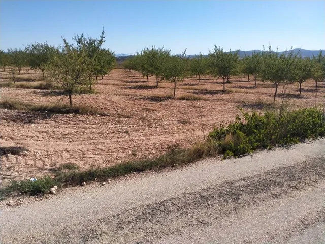 Villa de Obra Nueva Llave en Mano en Pinoso – Exclusividad, Espacio y Confort en Plena Naturaleza — 33