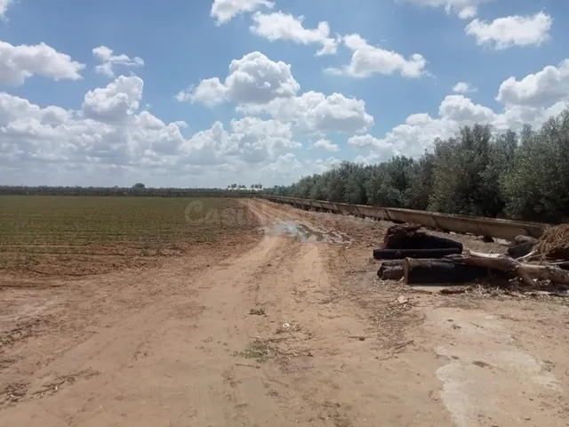 VENTA DE PARCELA EN LA CORCHUELA - foto 3