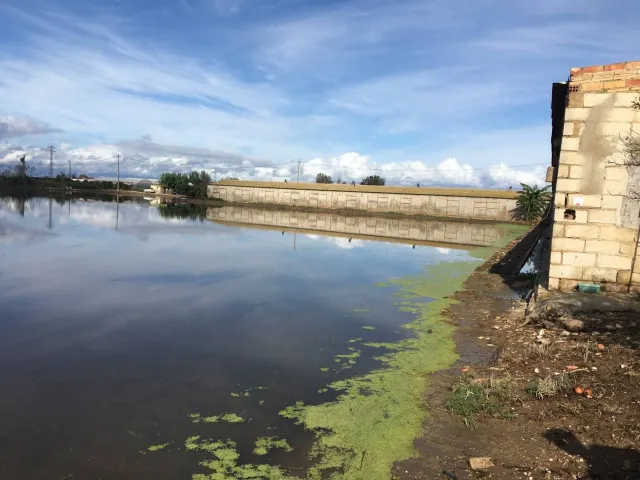 GRANJA AVICOLA,CASA Y ARROZAL EN VENTA!!! — 9