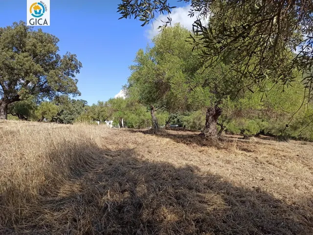 CASA CON PARCELA  EN LA SIERRA DE CADIZ -EL BOSQUE — 29