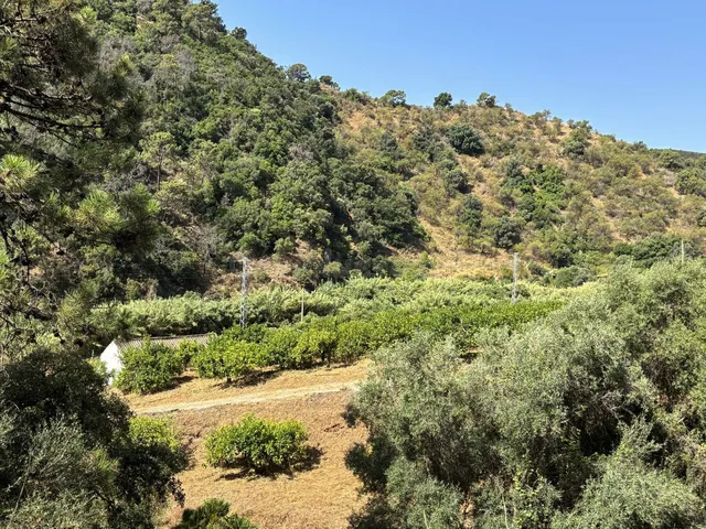 Parcela en venta - Costa Del Sol - foto 4