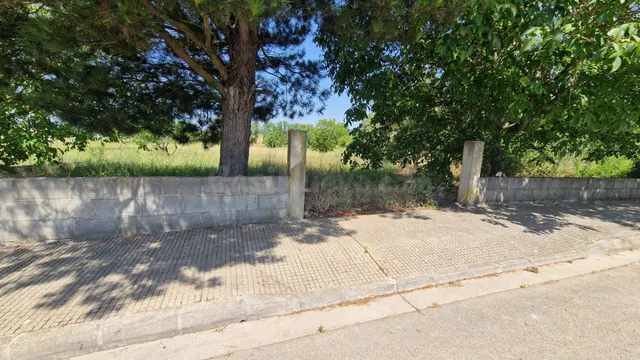 SE VENDE SOLAR DE 2500M2 EN CUBILLOS DEL SIL - foto 2