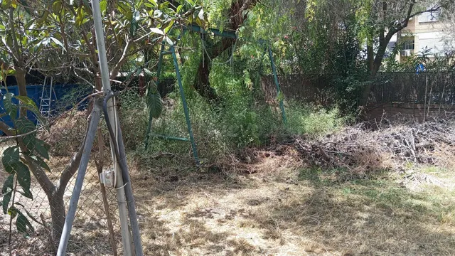 Exclusiva propiedad de 2.012 m2 en santa clara | tres fincas registrales en una de las mejores zonas de Sevilla — 14