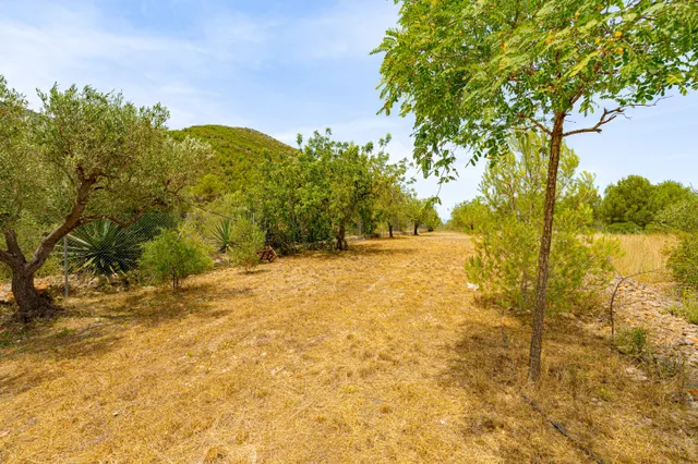 Villa rural en venta en Lliber — 42