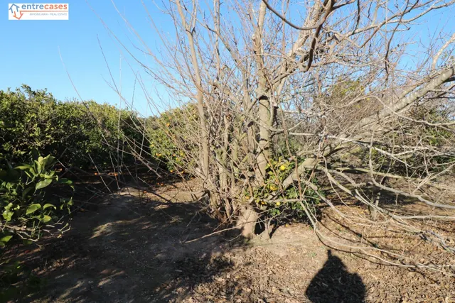 Conjunto de parcelas en Canet de Berenguer (zona gasolinera) — 18