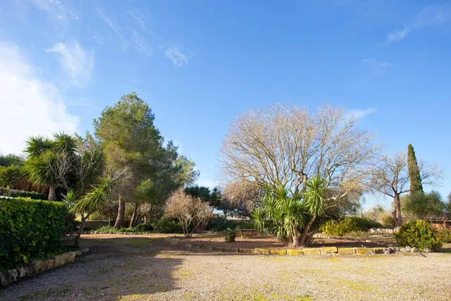 Payesia con piscina y jardín en Ariany. — 27