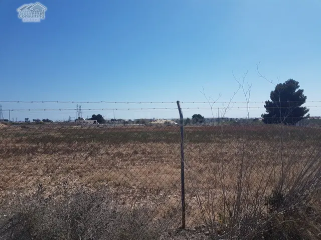 Terreno 10.000 m2 frente Parque Industrial Elche Torrellano - foto 5