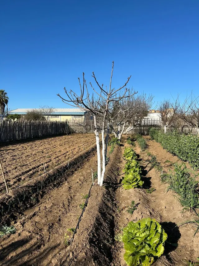 PARA LOS AMANTES DEL CAMPO Y NATURALEZA — 16