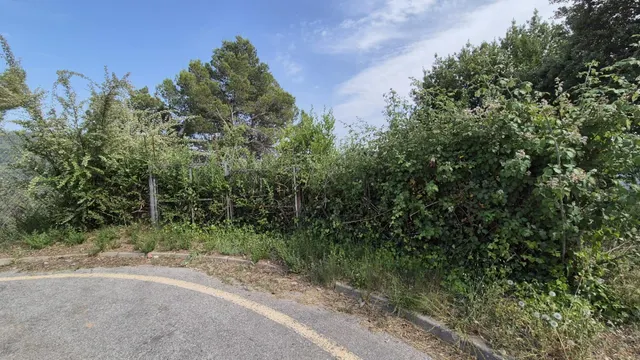 Terreny en venda a Sant Feliu del Racó – Entorn natural i vistes excepcionals — 2