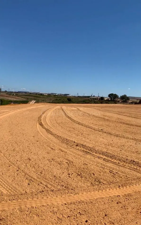 Terreno rural en venta - Bollullos par del condado - foto 3