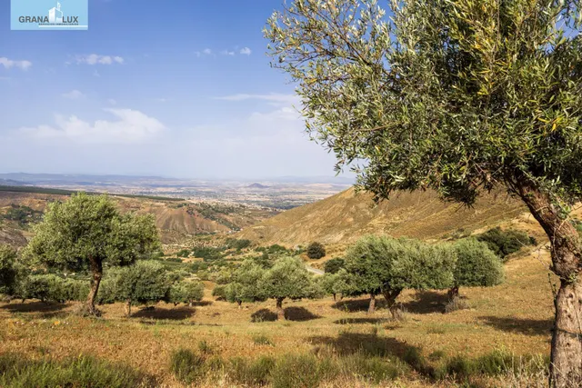 En Venta Maravilloso Paraje Natural, a medio camino entre Granada y Sierra Nevada, a veinte minutos en coche, desde cada una de ellas. — 22