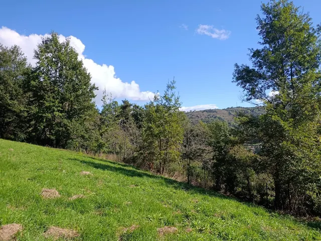 Terreno urbano en venta - Trubia — 7