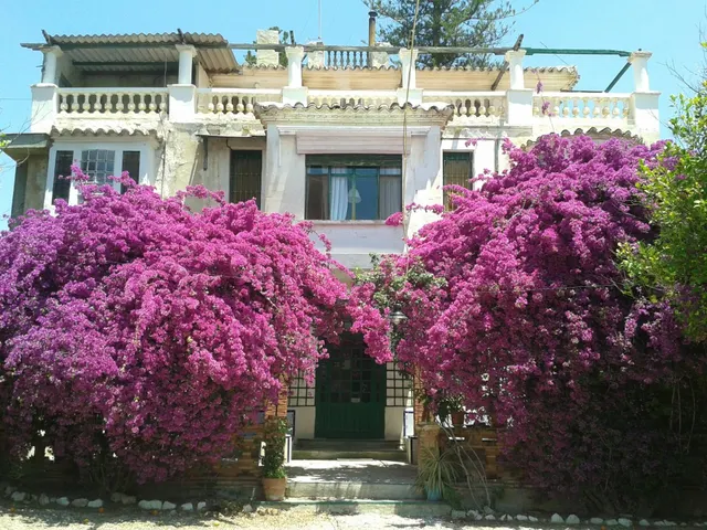 Finca del siglo XIX - foto 2
