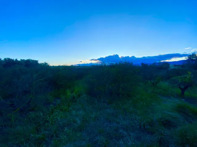 Encantador terreno con agua y luz de 1,2 ha — 11