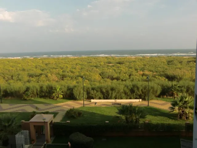 APARTAMENTO EN URBANIZACIÓN PALMERAS CON VISTAS AL MAR — 13