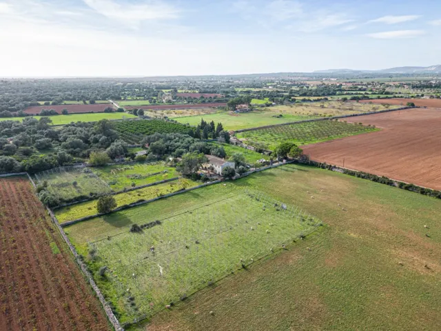 Magnifica finca rústica en la zona de Porreres. - foto 4