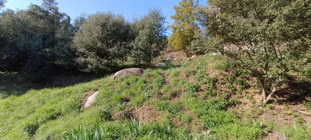 Parque natural del montseny (afueras riells): masía típica catalana catalogada a reformar — 36