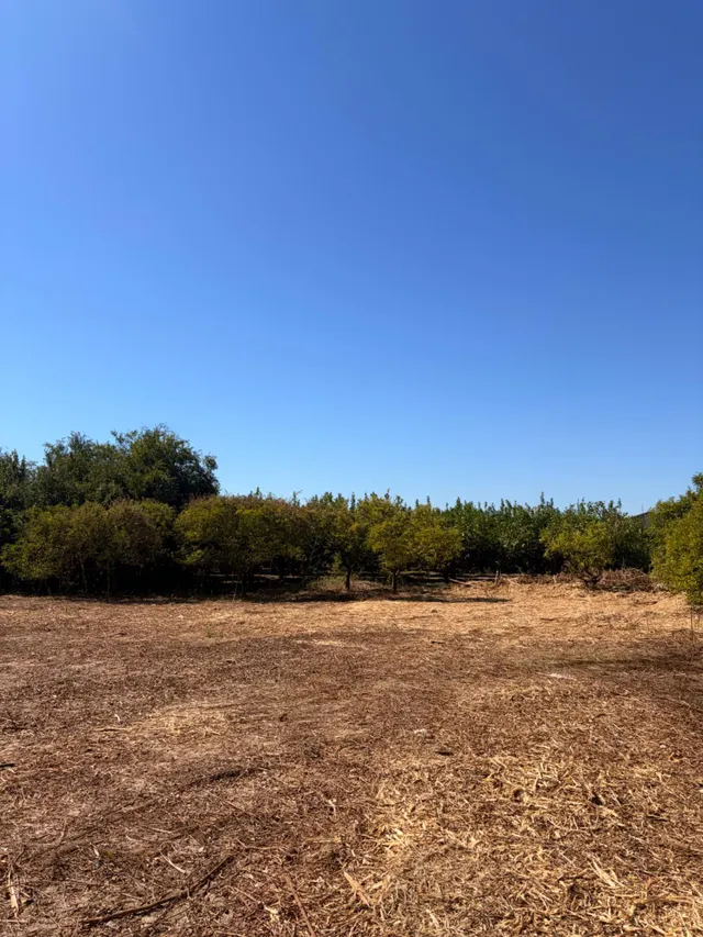 Se vende bonita parcela edificable en Zeneta (Alquerías) — 12