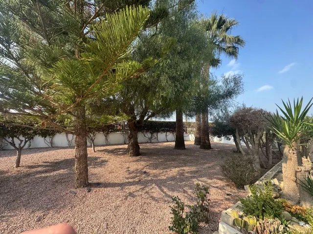 FINCA LAS BRISAS EN DAYA VIEJA — 8