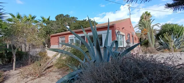 Espléndida Casa de Campo con Piscina en La Hoya, Elche — 42