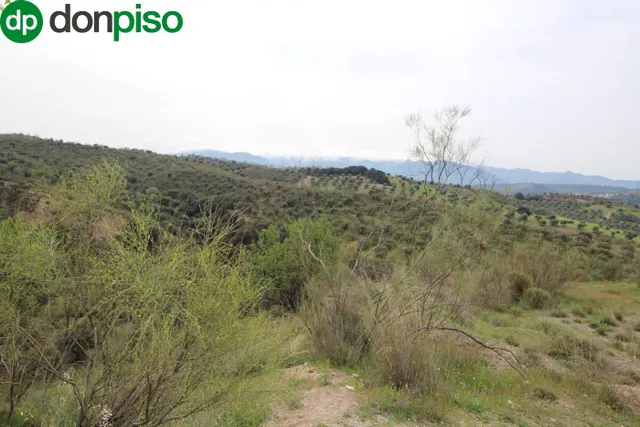 FINCA EN CORTIJO SAN JERÓNIMO (BARTODANO) — 47