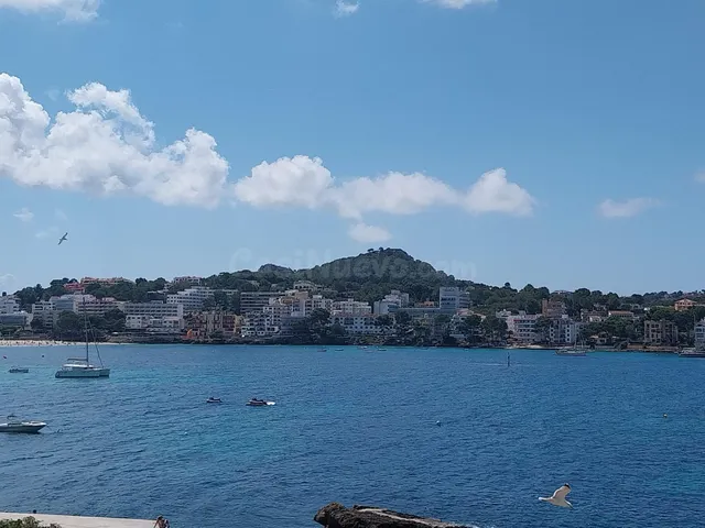 Apartamento 1 habitación 45m² en venta - Santa Ponça