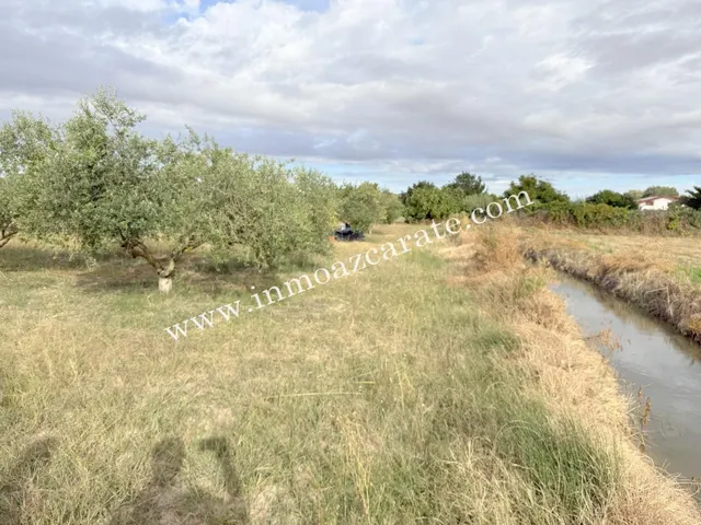 Parcela de Regadío en Lerin - foto 2
