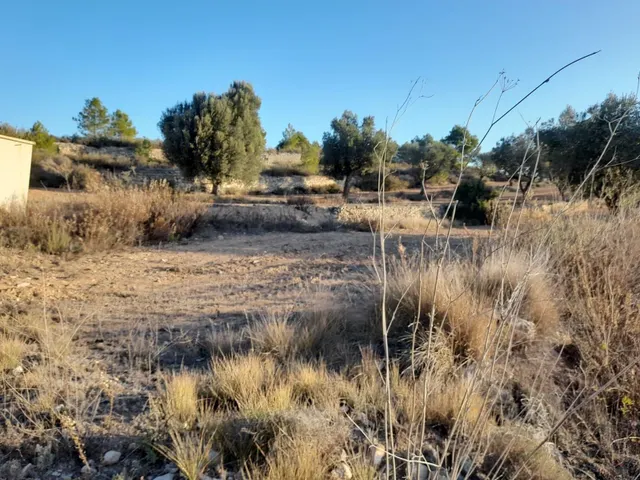 OCASION GRAN  FINCA EN PRODUCCION DE 8,4 HAS. EN CORBERA D´EBRE — 16