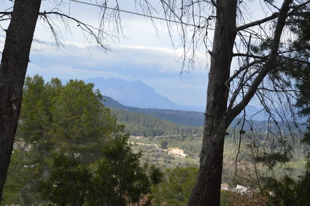 PARCELA EN VENTA EN EL MEJOR SITIO DE CORBERA DE LLOBREGAT (BARCELONA) — 23