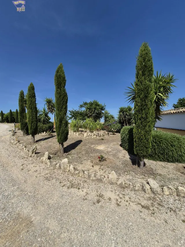 SE VENDE FINCA RÚSTICA EN ZONA DE CARRETERA ARCOS-GIBALBIN — 4