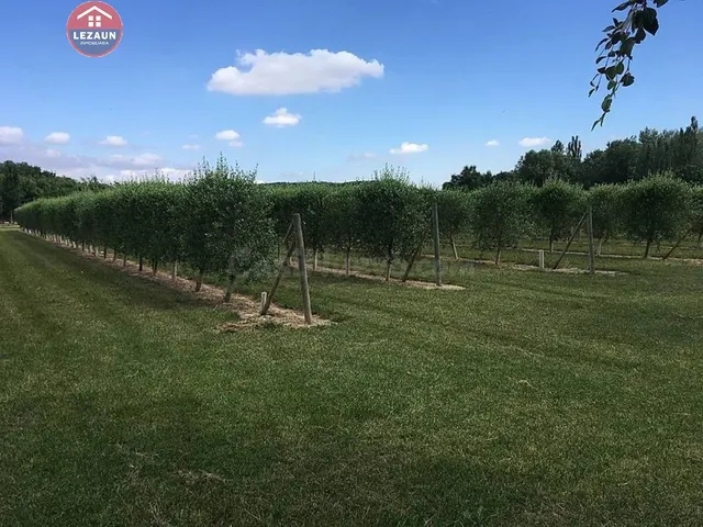 Finca Rústica en Peralta - foto 4