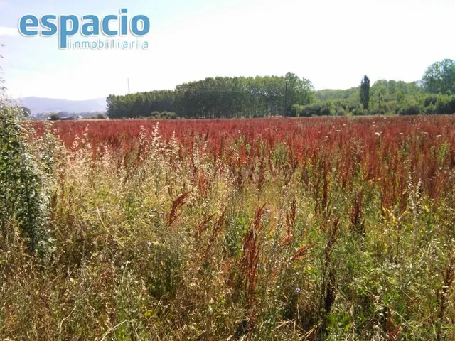 FINCA A LA VENTA EN BARCENA DEL BIERZO - foto 5