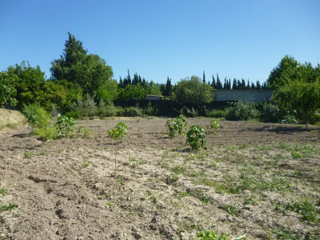 Terreno en Camí La Font - Ontinyent — 7