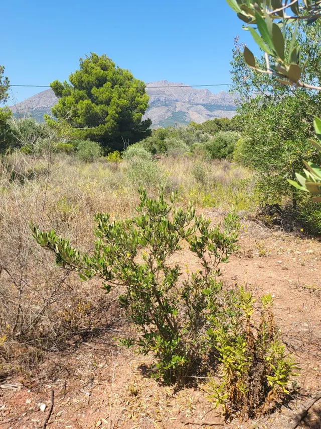 Parcela en Venta en La Nucía - Zona Bello Horizonte - foto 2