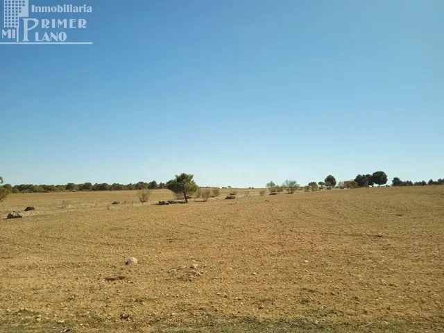 Se venden 11 hectareas de tierra de secano en el paraje La C - foto 2