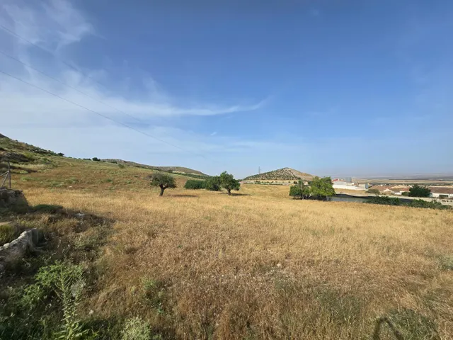 Gran Oportunidad para Inversores Diezma — 41