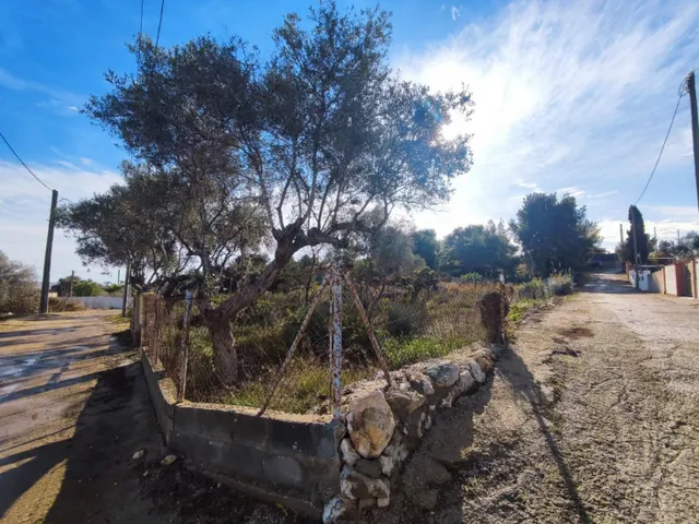 Terreno rústico en venta en Vilanova i la Geltrú, Mas Tapet — 8