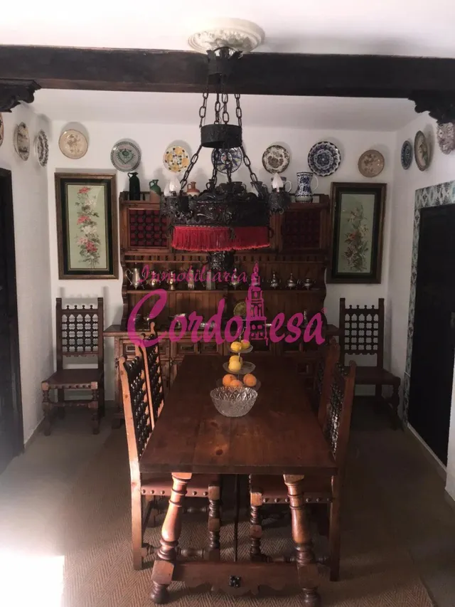 MAGNIFICA CASA SEÑORIAL EN VILLAVICIOSA DE CORDOBA — 7