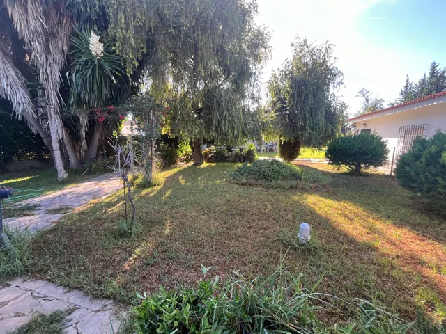 GRAN CHOLLO-FINCA URBANA DE 2600 METROS CON GRAN CHALET , DOS  VIVIENDAS,  TRASTERO Y PISCINA — 13