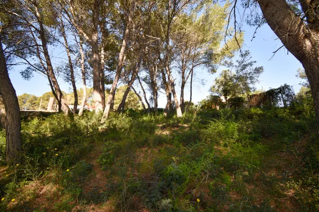 TERRENO EN LA URBANIZACIÓN LAS COLINES, OLIVELLA — 4