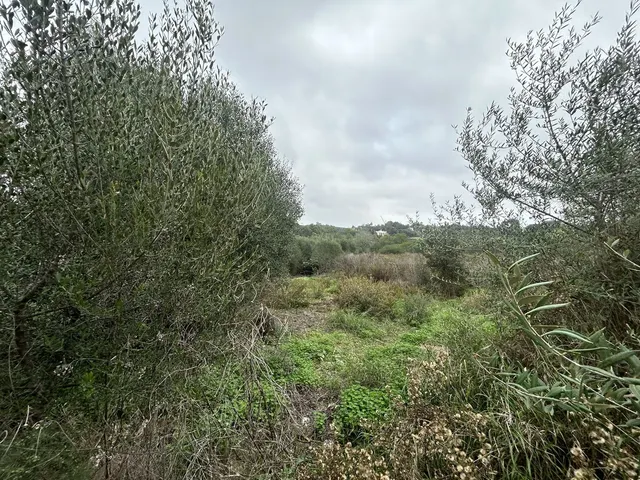 Parcela 1444m² en venta - Sotogrande Costa — 9