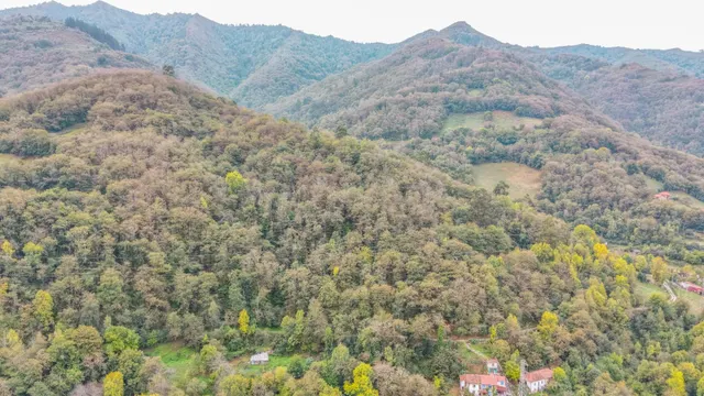 OPORTUNIDAD EN ASTURIAS — 30