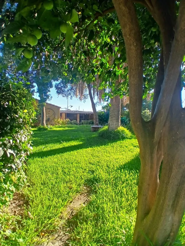 Casa con piscina y jardín. — 4
