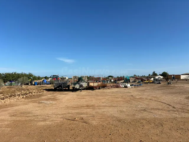Venta de terreno rústico, Torre Pacheco - foto 2