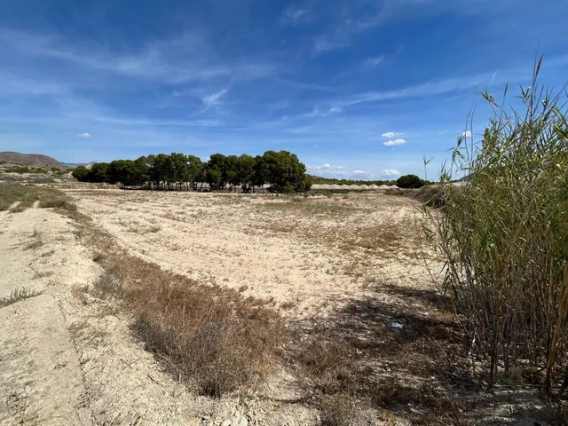 Terreno rural en venta - Costa blanca - foto 3