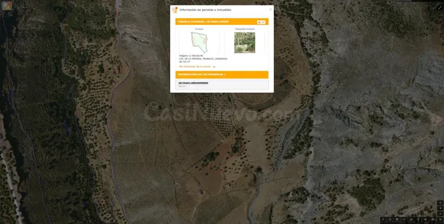 Magnífica finca de 400 olivos en Monachil — 35
